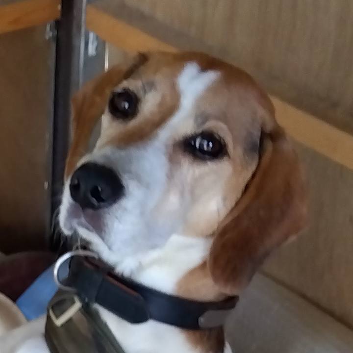 582e95a4 9273 4ffe 89b7 a8d4ea4215b4 1695114471713