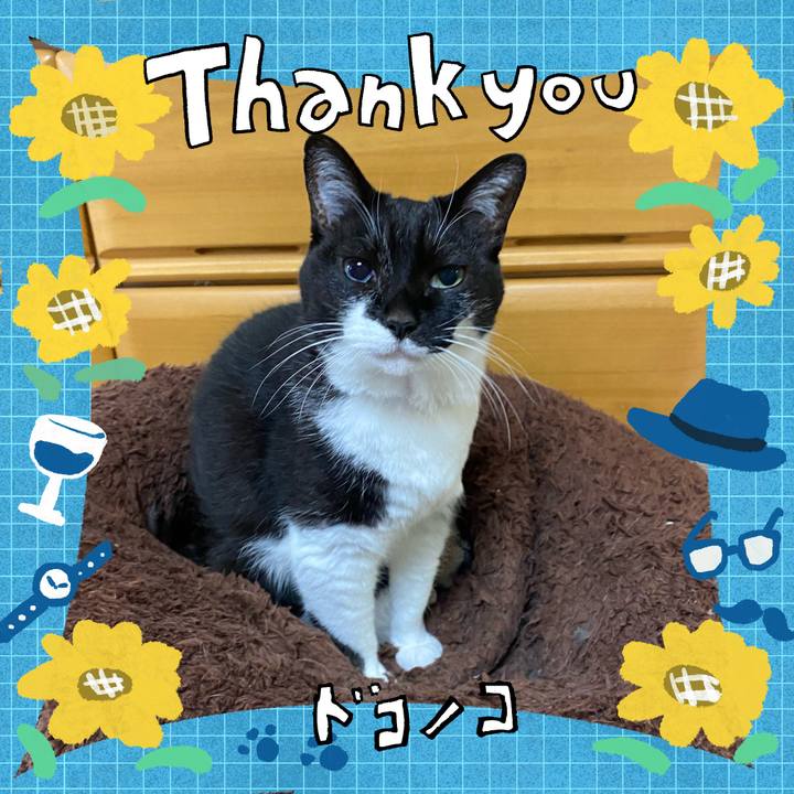 582ecbd6 8654 48e3 9871 0badffac5b30 1717932402732