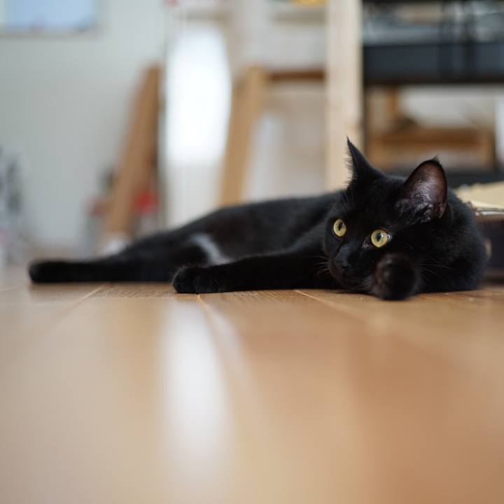 582ed1fd 0a4c 4b0e 8f77 27fb993efb17 1529919950514