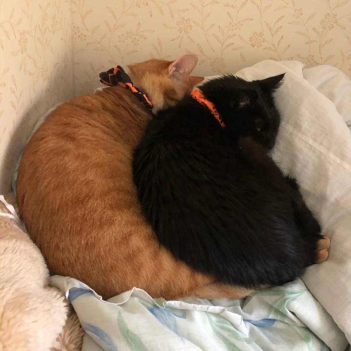 582ed3b0 9f08 4ca2 a64b 876c03957f33 1571727970092