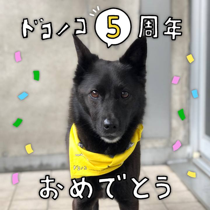 582edafb 149f 4691 aac6 4ba0a91da76b 1623417724153