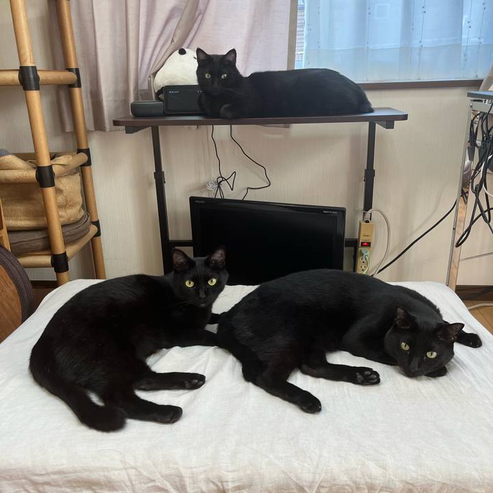 582ef81d e13c 4d3b 9d67 02fba3d3c727 1715991244032