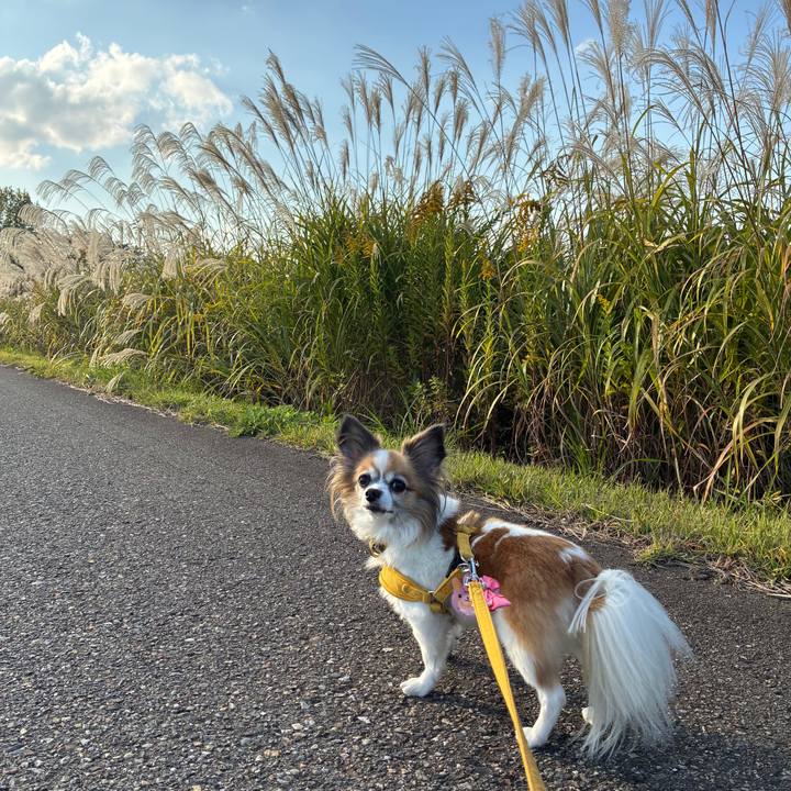 582f30e7 c3ce 4e25 8b9e b743204a4242 1761743395360