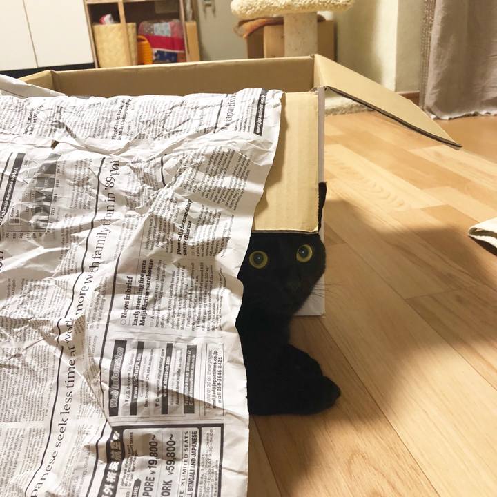 582f31e6 074b 4dcd b50f 0098af49a486 1551797474732