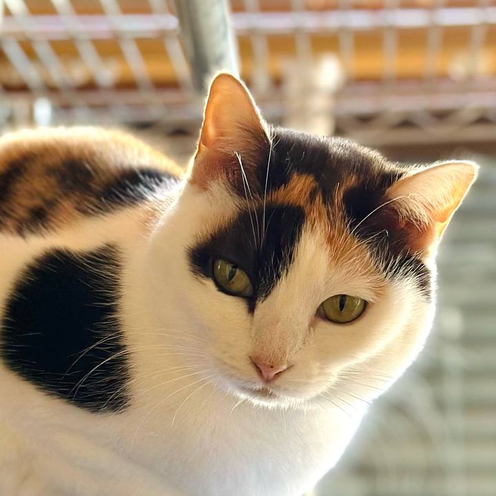 582f3eda f02c 4de3 8540 0cb88220d84c 1677548598669