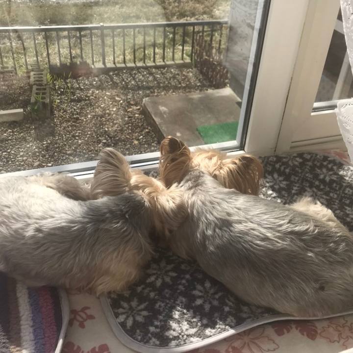 582f3ff5 d8ef 414e 9427 0e95198a9b10 1587722224212