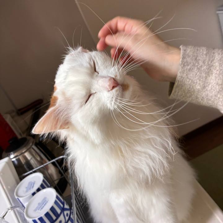 582f4b45 2a5c 461f 9376 807412ad51ac 1775355281579