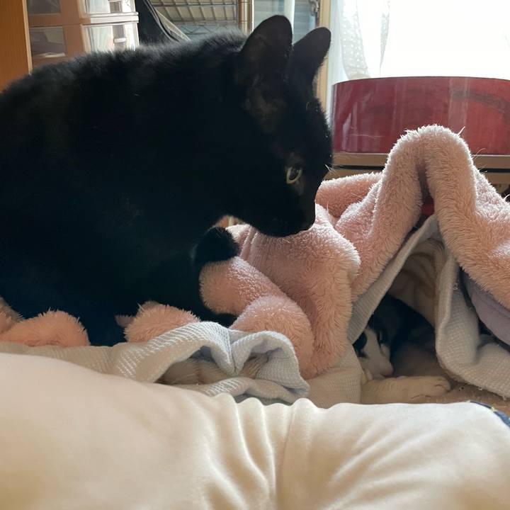 582f5a09 33f6 489a 996a 63463ef917f8 1646967024577