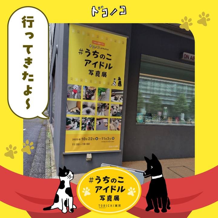 582f62cc 8738 4533 8986 7b763e185501 1761281911367