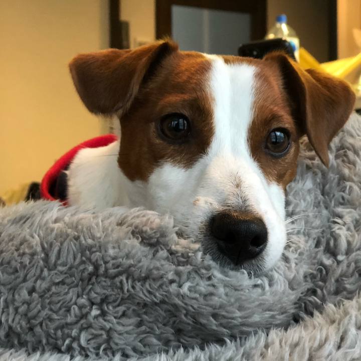 582f8c1d bbcf 481e b6f2 59ee8f075b9b 1550477257937