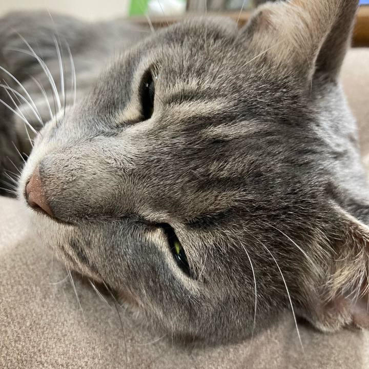 582f8ed2 feb5 49d3 82b2 4418103e6591 1637238309230