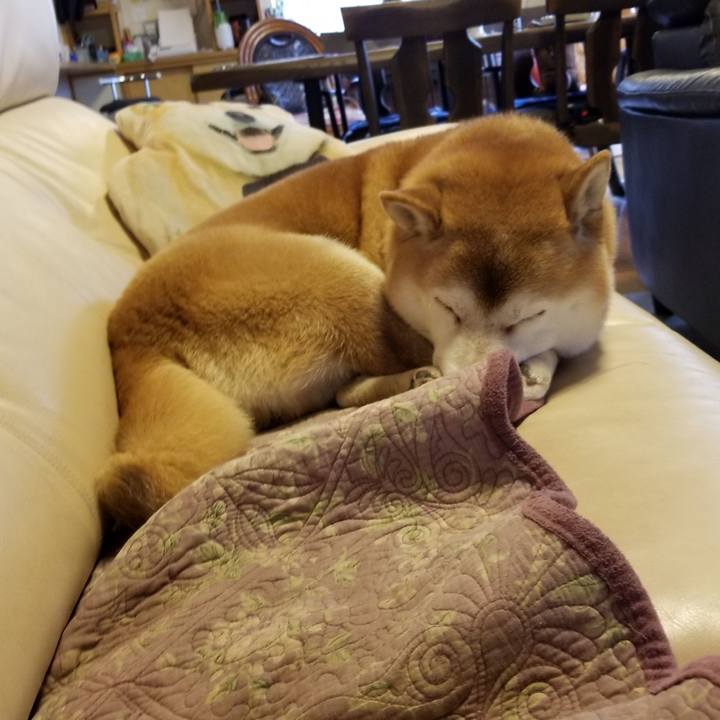 582f96b6 aae6 4bab ab2e 7d9c593e5d92 1637278395321