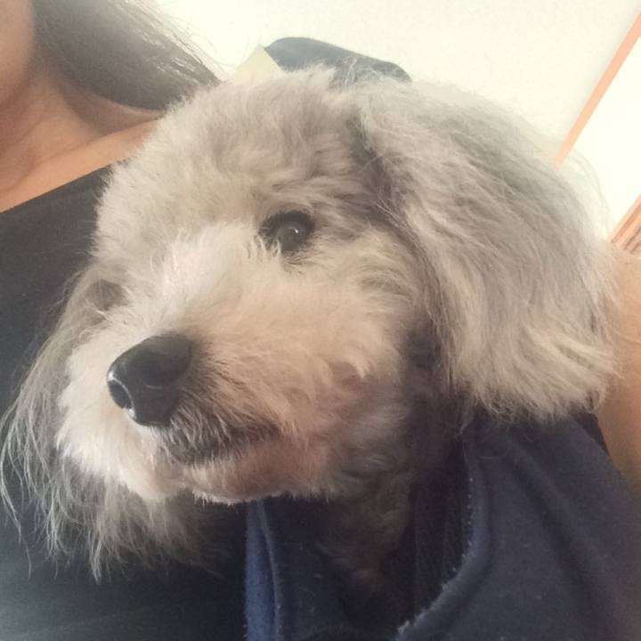 58308920 dc96 4528 a937 c083a75bed6d 1758607101694