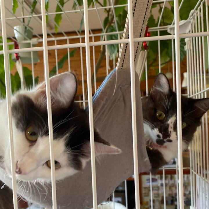 5830a739 c150 4df3 bd78 397d2c9f3831 1698216712274