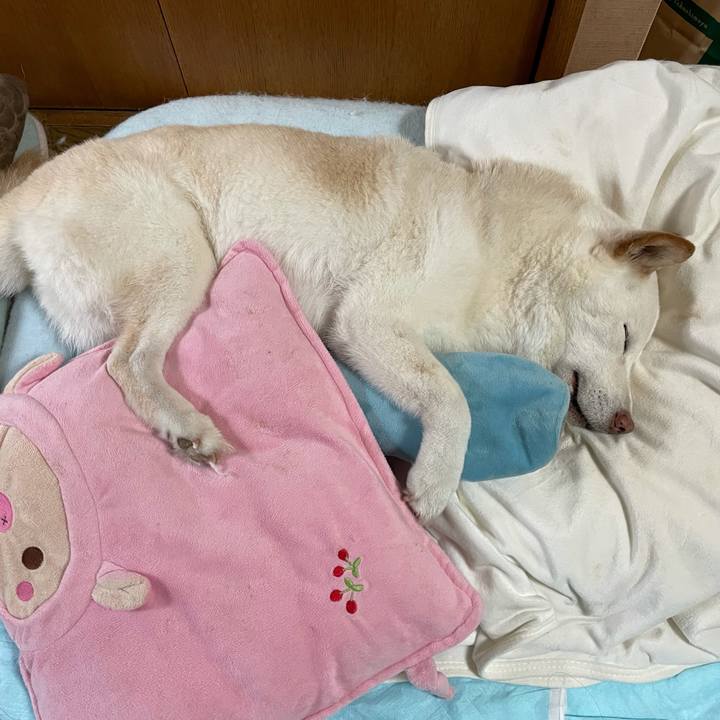 5830dc49 6a9b 4b84 857d 28211974ca89 1634634782679