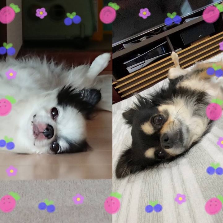 5830fd55 b18c 4211 ab90 354998556986 1631246721036