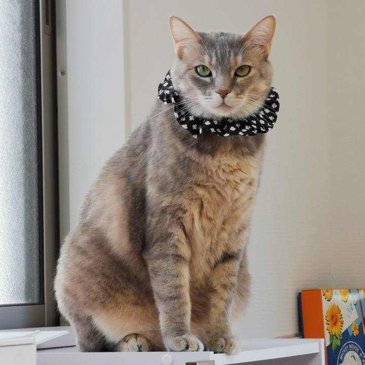 58311af2 eb25 4e34 92f7 da906ce3433e 1649086640229