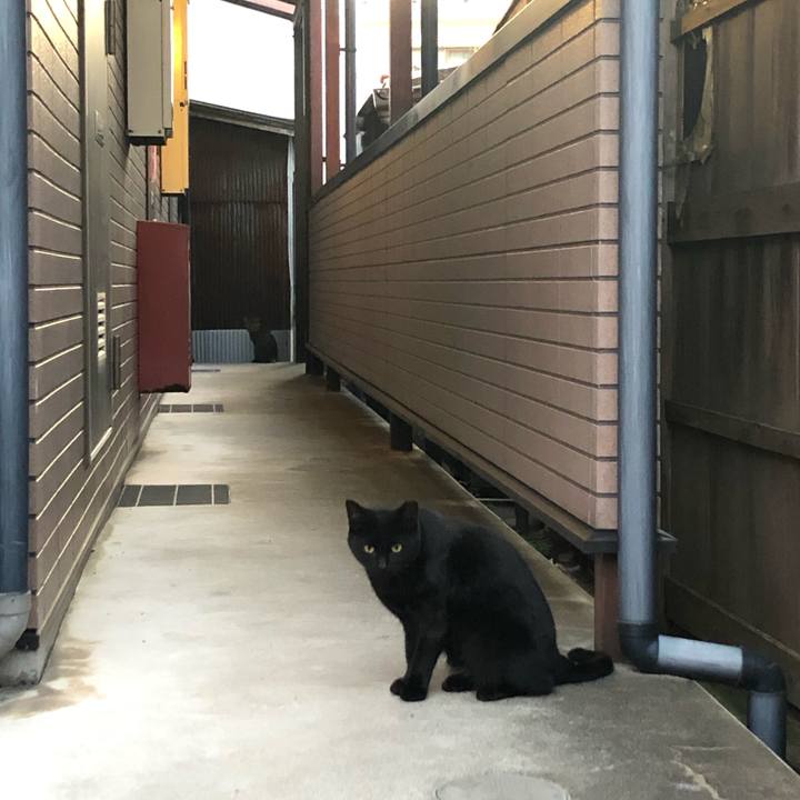 5831293f 2f65 44c1 8f6e 63a29b248cc1 1572732449281