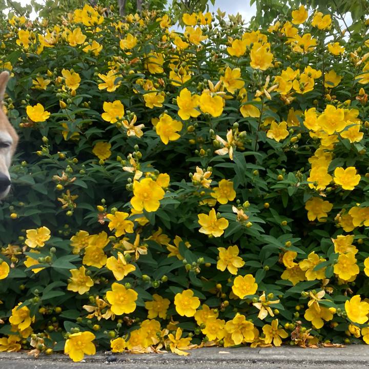 583179f4 eb2e 4225 9acd 07e0d370854c 1653551216266