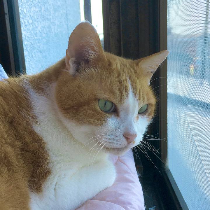 58317f37 e41b 4802 923f 2dff9c904630 1586326888613