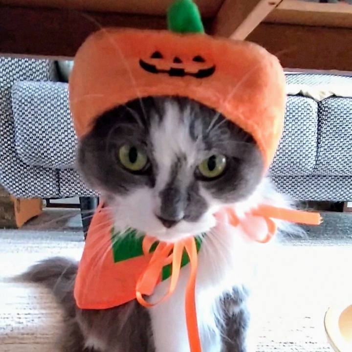 5831b469 fe55 4c1b b980 1db36afcd280 1725777835481