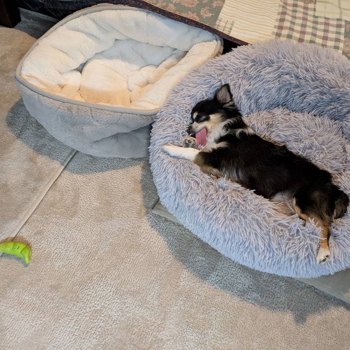 5831d400 cab2 4848 8a0d f91ae17d9079 1763127657247