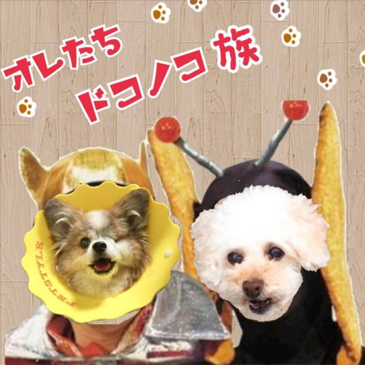 5831eee2 ee04 41d1 8e44 4e0a4c66773c 1536477881403