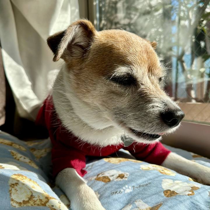 5831f6d7 ba07 434a aacb a8ea0f98aa6b 1670382603514