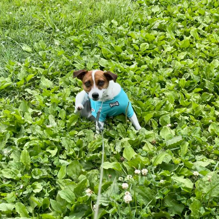 58324bf2 5e4f 45ab 8232 95304e0a2d8e 1624697608190