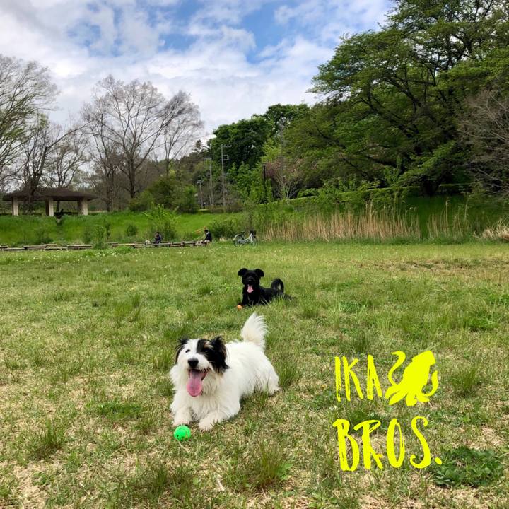 583271df 8d8e 47f2 9620 2c0853cf335d 1560729196090