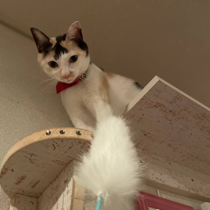 583289d0 cf2b 4669 ba5d 744dc8904428 1703205350326