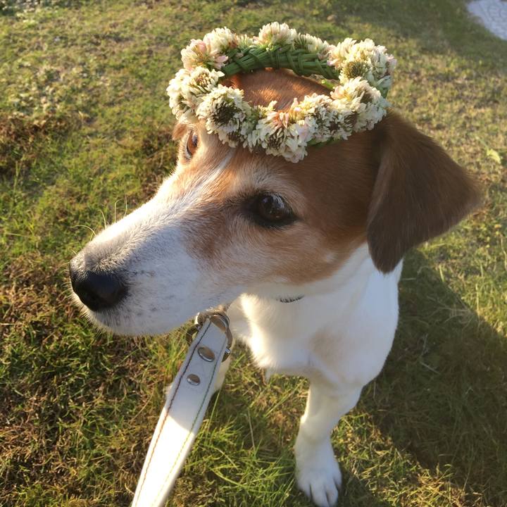 5832edf7 ac11 47f3 9e9e 884ce7f1994f 1525569655338