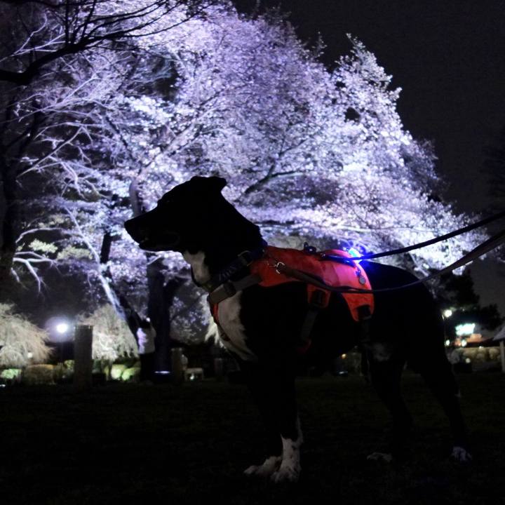 5832f478 72b7 4fa3 a3df 0e4e7455fcca 1712055932026