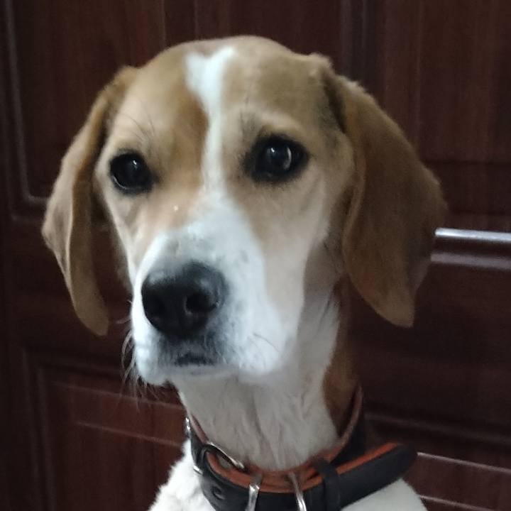 583303a1 e780 44a0 ab6a 044e68ab95ef 1646663000874