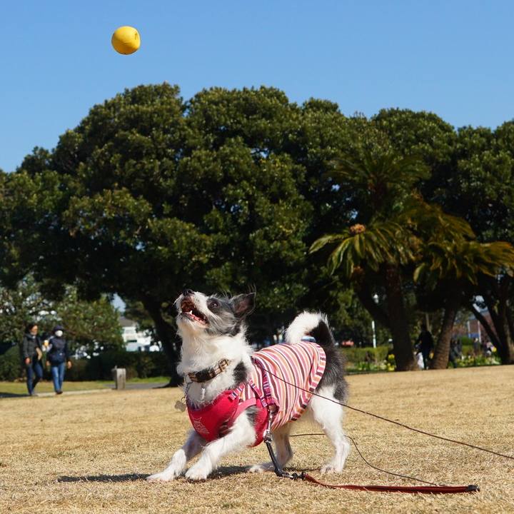 58336d7a e125 4c83 bd1c 21fa303d8012 1585300611730