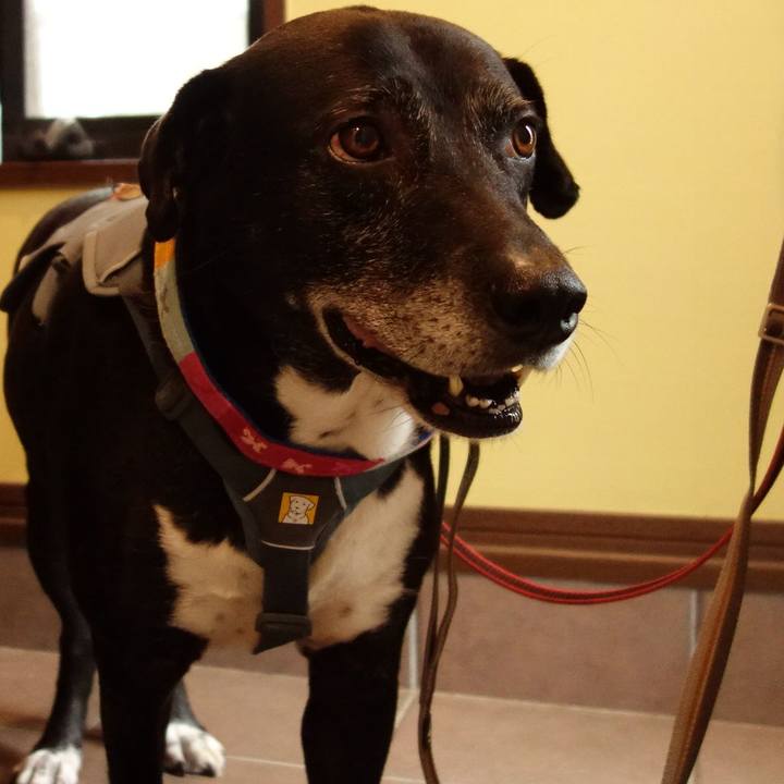 58336ec6 3b63 46e9 98b0 3e5d59da789f 1747875264212