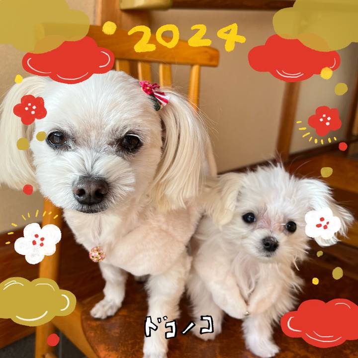 58338400 04be 4b63 a163 ca84e9d16263 1704093782407