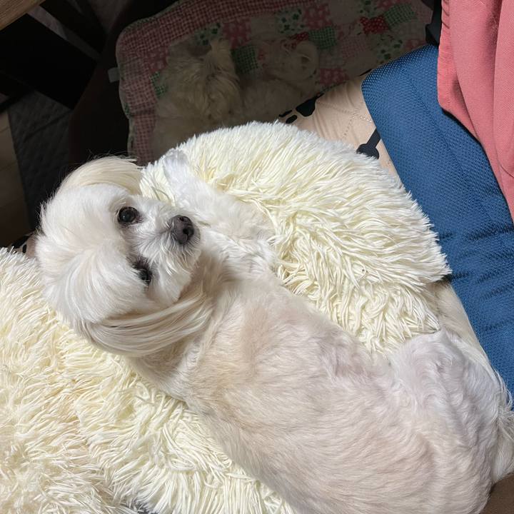 5833ef43 0616 47ff b403 30a9392c88d7 1729769040132