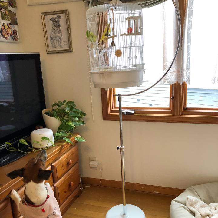 58340089 38e4 4b38 b327 f54787378c93 1603848337069