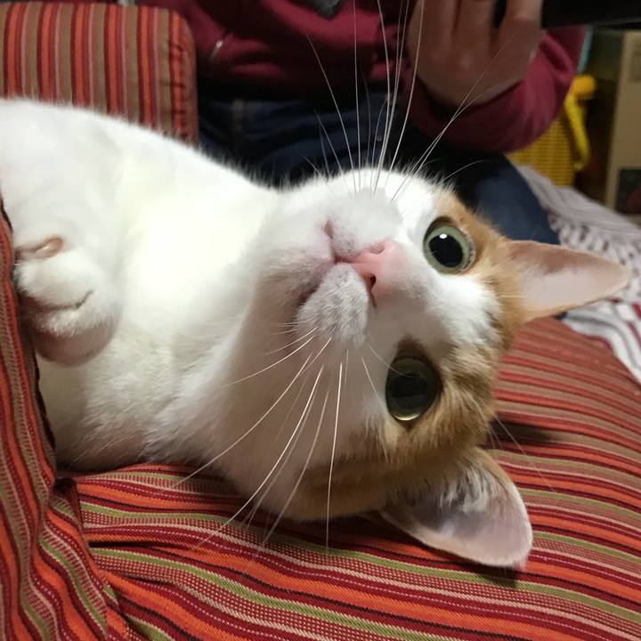 58340e6d c606 4d8b 941a d892c7875c50 1524047985435