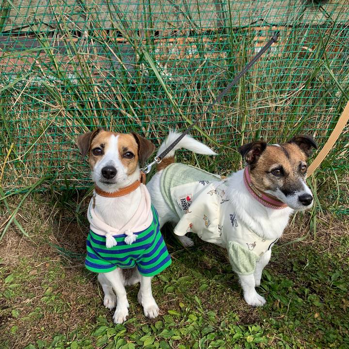 583414ea 005b 4ca1 8230 0561df9b6a75 1636359620300