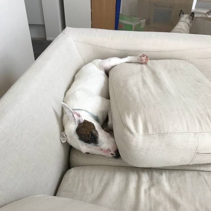 58341711 2dcb 4ff8 ab58 a6f17ea5020e 1563109517914