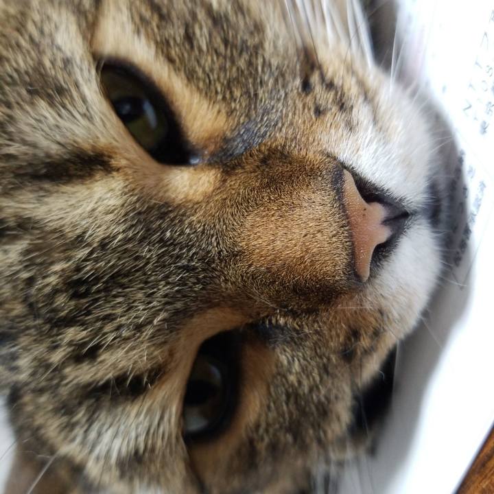 58342cb1 597b 4e71 bdbf 544837149233 1566477725657