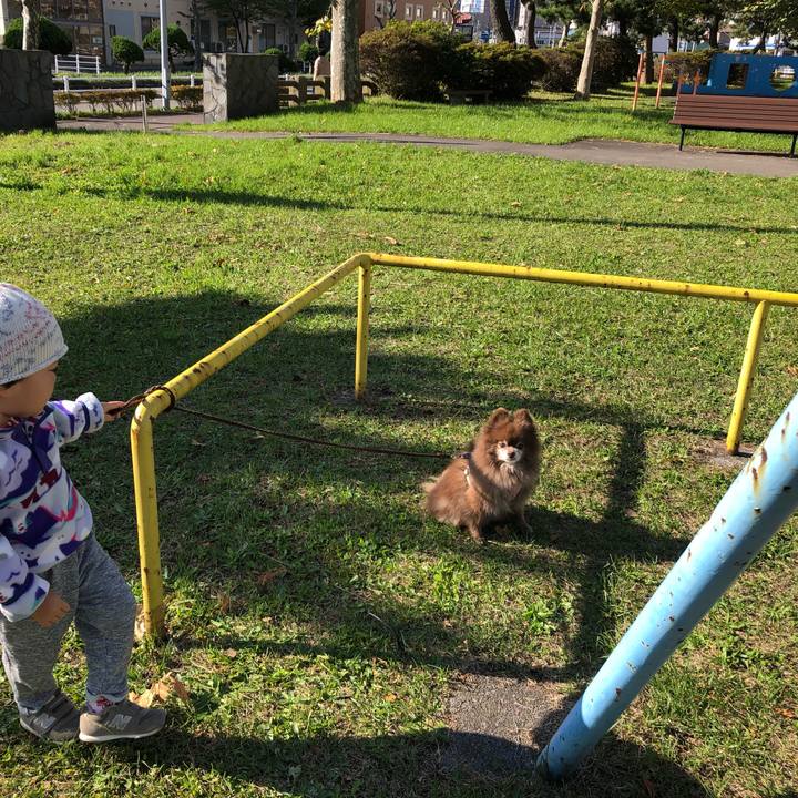 583435b8 9b57 496c 8011 ff0cde9c218d 1634687955085