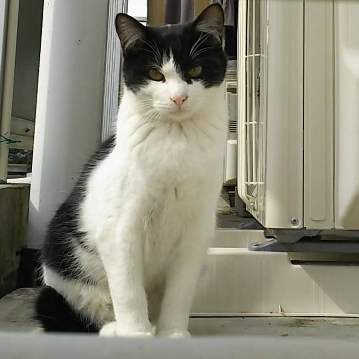 583484e5 f4ba 4dd9 95c6 87f51bdce9d1 1550981606807