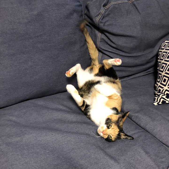 583488ea b9be 42f9 81d1 a657bf3f367b 1525785698274