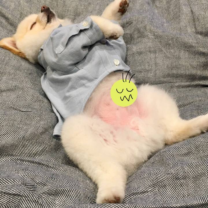 5834935f 2af1 4af0 8790 0382e44b7fd8 1588597172530