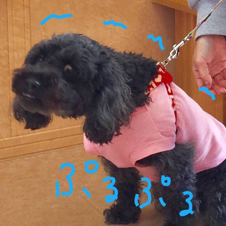 58349d6f 15b7 48fd abf5 34588843f5cf 1510029164069