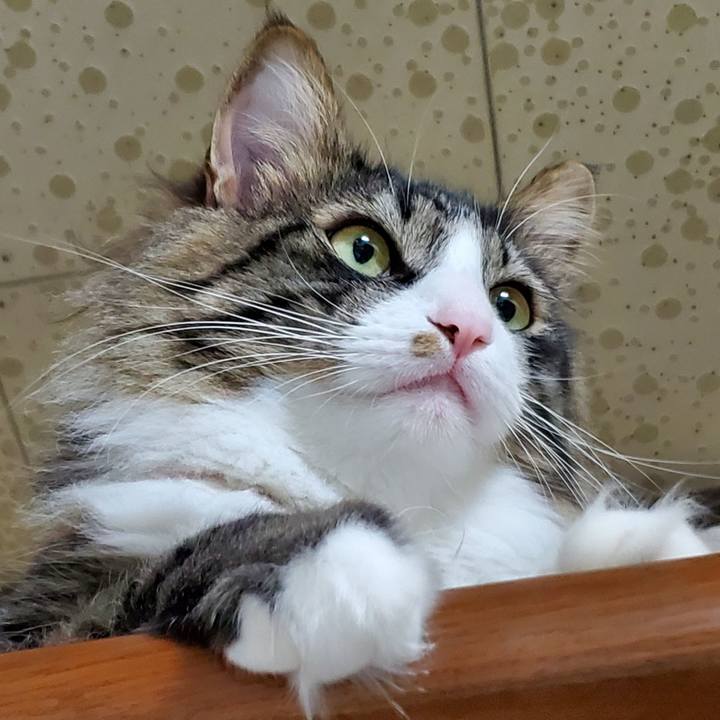 5834b79c 7336 4788 bf95 777e926bb703 1684977809343