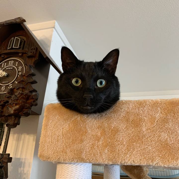 5834db01 6359 4f2f 9974 459215090042 1590280977957